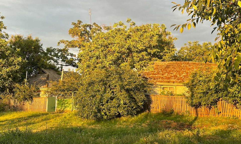 PHOTO: Soviet-style houses that usually belong to grandparents in Kobaliaky, July 15, 2023. (Dasha Sviachena/ABC News)