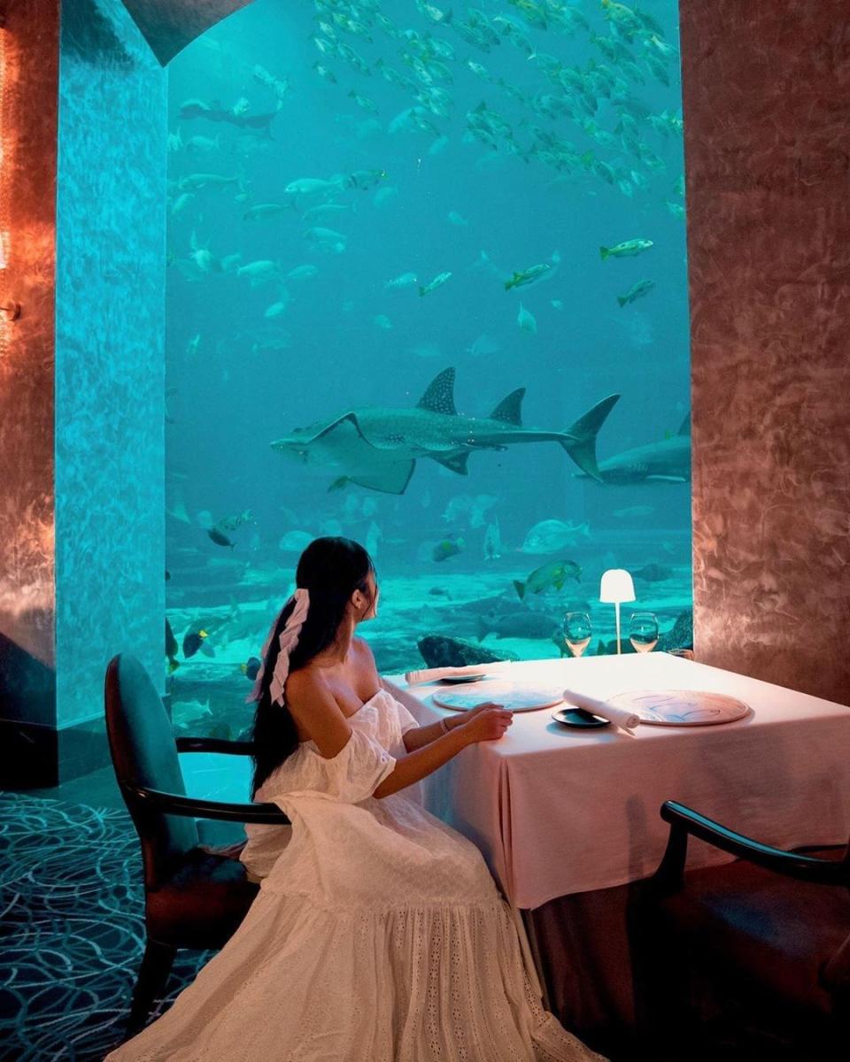 Bajo el lujoso hotel Atlantas de Dubái, ubicado en la isla Palma Jumeirah, se encuentra este restaurante en el que puedes comer mientras ves nadar a tu alrededor diferentes especies marinas, incluidos tiburones y mantarrayas. Además, tiene ofrece la posibilidad de contratar a un buzo para que entregue un mensaje a tu acompañante. (Foto: Instagram / <a href="http://www.instagram.com/p/B2jn1SnjJc_/" rel="nofollow noopener" target="_blank" data-ylk="slk:@ossianodubai;elm:context_link;itc:0;sec:content-canvas" class="link ">@ossianodubai</a>).