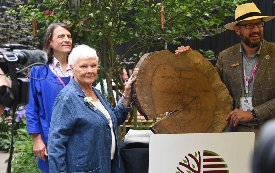 dame judi dench chelsea flower show