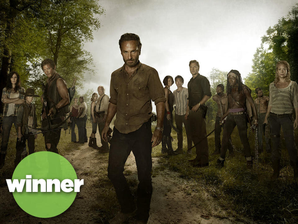 <b>WINNER: "The Walking Dead" (AMC)</b><br><br> You know who's really terrified of zombies? Network executives. Like Michonne slicing up a walker, AMC's post-apocalyptic thrill ride has decapitated the competition this year, averaging a massive 11.4 million viewers, including a whopping 7.3 million in the key adults-under-50 demographic. That last number tops any other series on TV, broadcast or cable -- more than "The Big Bang Theory," "Modern Family," or "American Idol." That's a big deal; the fact that a cable series can outdraw even the most popular network fare represents a seismic shift in the TV landscape. See why other networks are scared now?