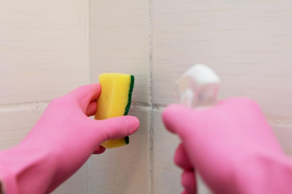 Mildew on Shower Tile Gloved Hands Cleaning