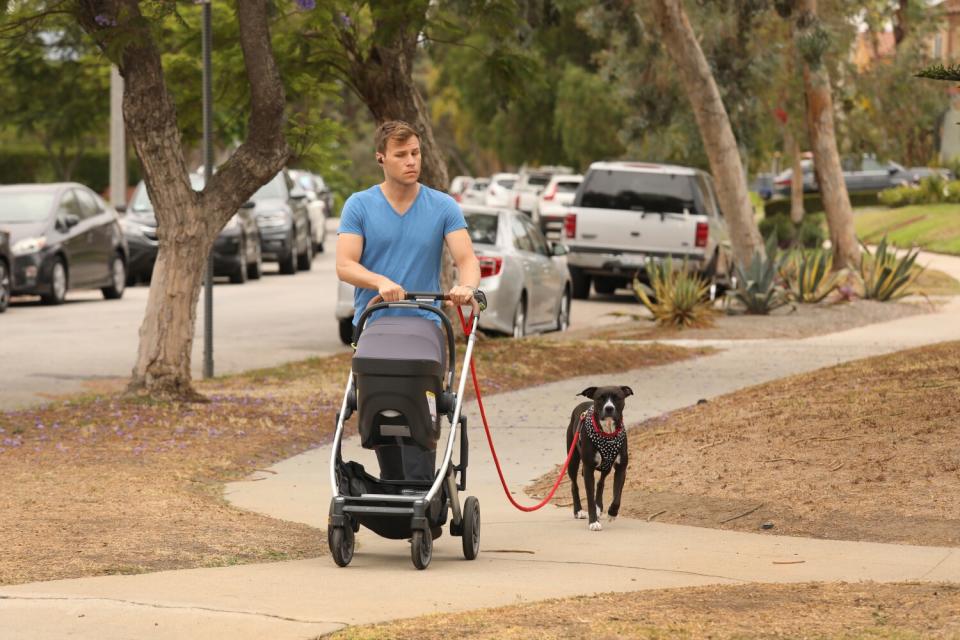 A man pushing a stroller and walking a dog on a leash passes lawns that have turned brown