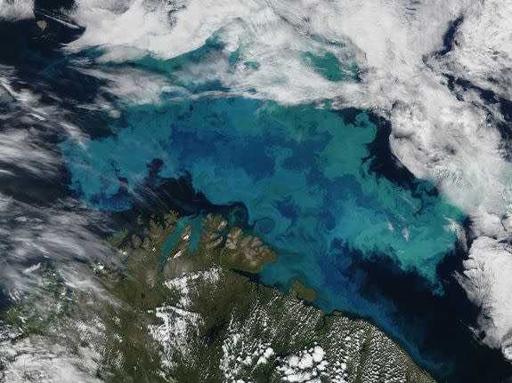 A massive phytoplankton bloom, including diatoms, in the Barents Sea north of Norway in 2011.