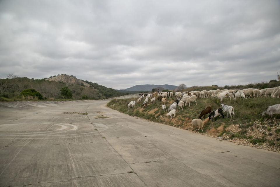 Photo credit: Manuel Medir - Getty Images