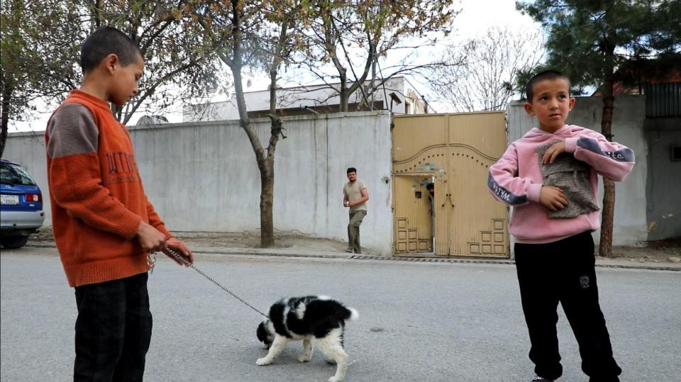 In Kabul, children play with animals outside of one of Kabul Small Animal Rescue's clinics. The rescue runs 15 clinics in Afghanistan. / Credit: CBS News