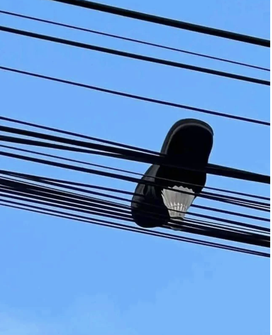 A shoe stuck in power lines