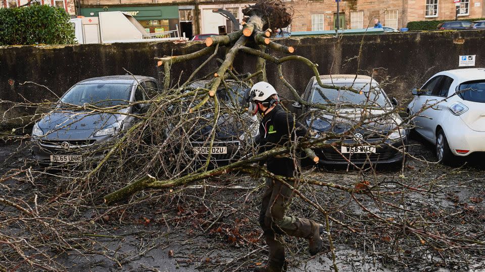A tree surgeon removes a fallen tree from cars during Storm Isha in Linlithgow, Scotland, January 22, 2024. - Lesley Martin/Reuters