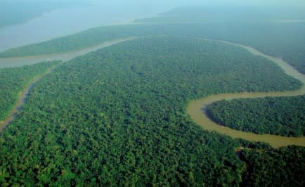 Parts of the Amazon