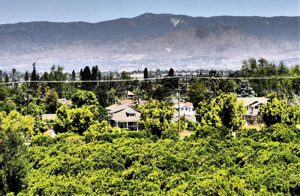 View of Redlands from Prospect Park.