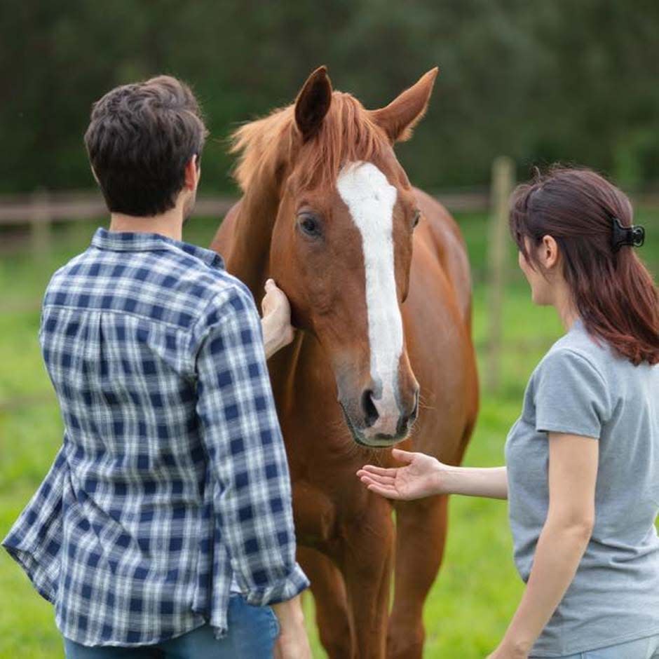 The collaboration between Alaqua Animal Refuge and Healing Hoof Steps increases their ability to provide hands-on clinical therapy for people with mental health issues in Northwest Florida.