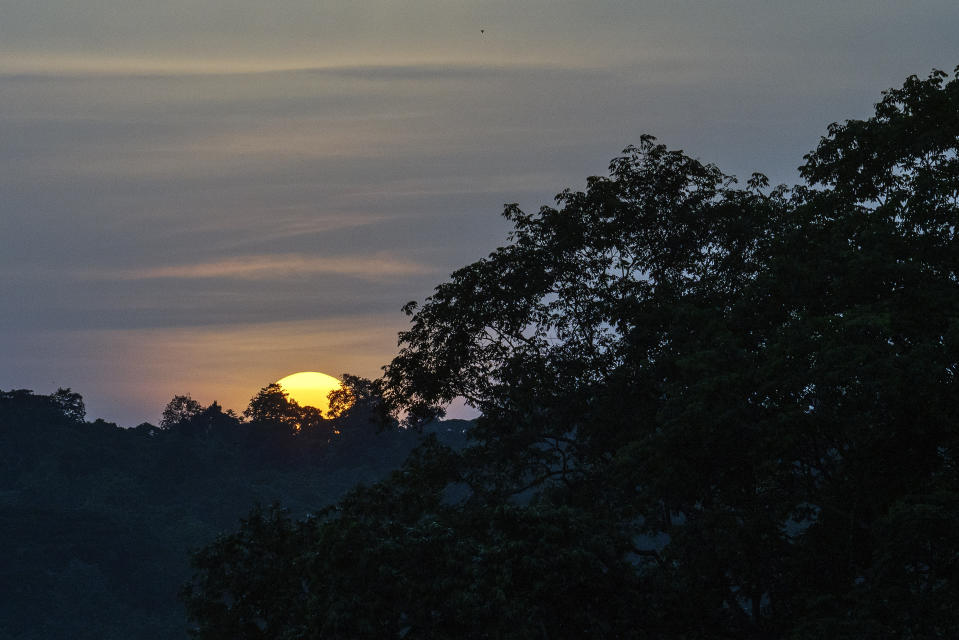 The sun sets over Gabon's Pongara National Park forest on March 12, 2020. Gabon holds about 95,000 African forest elephants, according to results of a survey by the Wildlife Conservation Society and the National Agency for National Parks of Gabon, using DNA extracted from dung. Previous estimates put the population at between 50,000 and 60,000 or about 60% of remaining African forest elephants. (AP Photo/Jerome Delay)