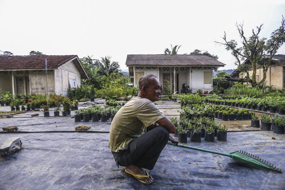 Settlement residents depend on the sale of plants from their nurseries for their livelihood. — Picture by Hair Anggara