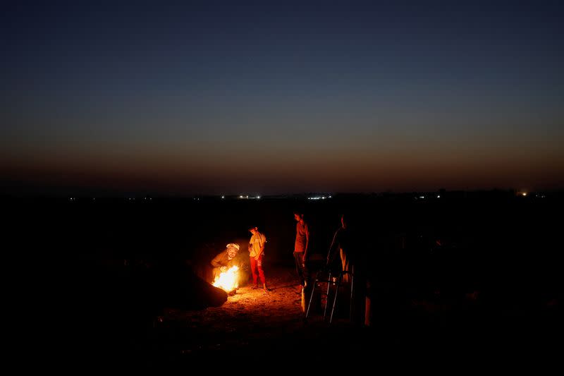 The Wider Image: Drought imperils Iraq's water buffalo and a child's way of life