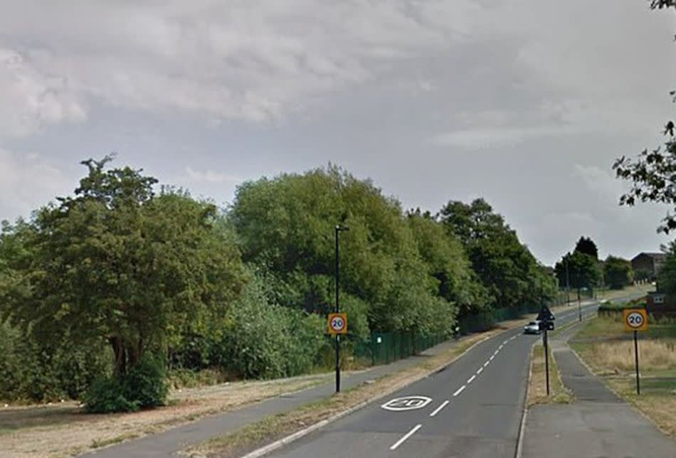 The alleged attack took place in woodland in Sheffield (Picture: Google)