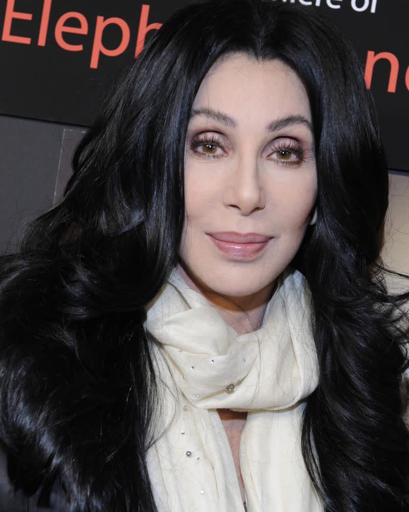 <p> Cher and her managers don’t wear backstage passes. End of story. Her rider points out that people should familiarize themselves with their faces because they won’t be wearing them. Oh, and she’ll take one separate room for all her wigs too. </p>