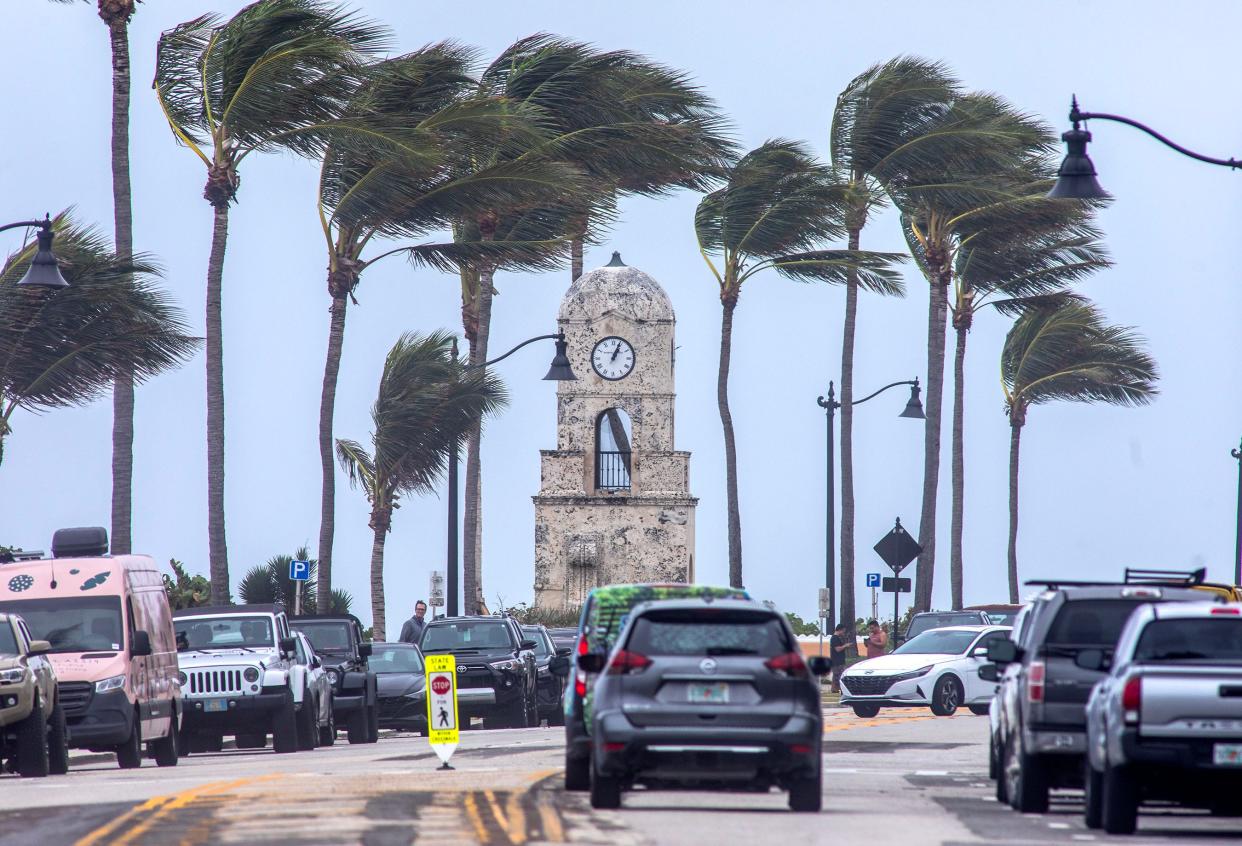 High wind gusts blow palm trees near the Clock Tower November 14, 2023.
