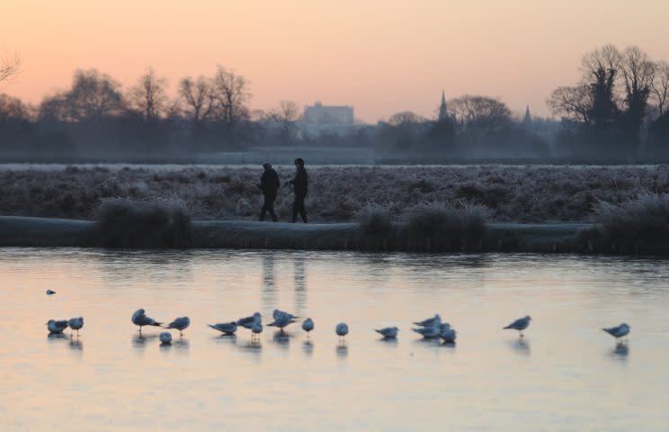 Lows of -6 are expected to hit parts of the Midlands (PA) 