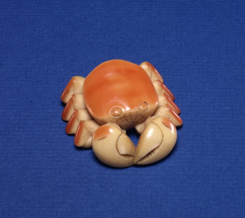 這才是真正的「鶴頂紅」 比象牙還珍貴的盔犀鳥頭骨。（取自網路）