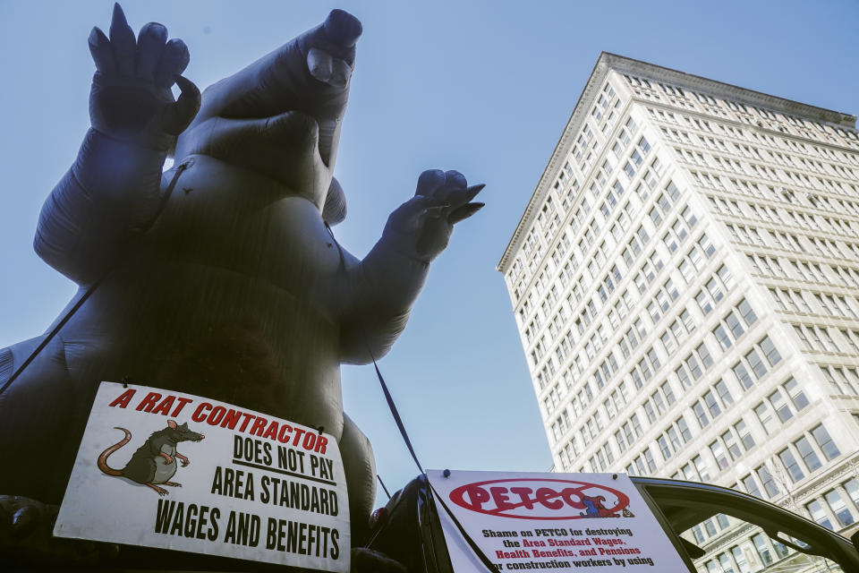 Scabby, a giant inflatable rat used by organized labor, is displayed in protest outside a Petco on Wednesday March 29, 2023, in New York. For decades, inflatable rats like Scabby have been looming over union protests, drawing attention to construction sites or companies with labor disputes. (AP Photo/Bebeto Matthews)