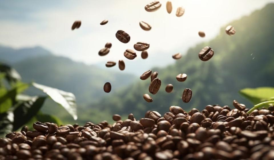 Producción de café en Colombia creció a junio y llegó a cifras no vistas desde 2021. Foto: Cortesía