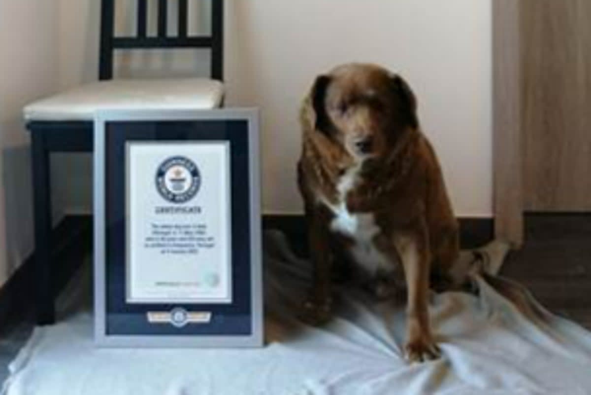  (Guinness World Records)