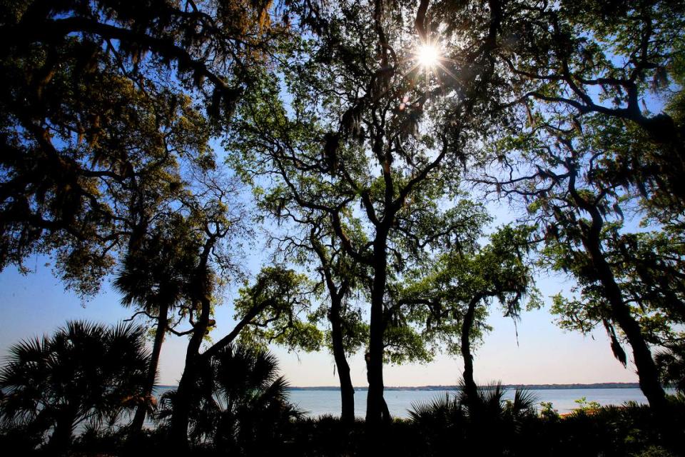 The ocean is visible through trees on Daufuskie Island, which is only accessible by boat.