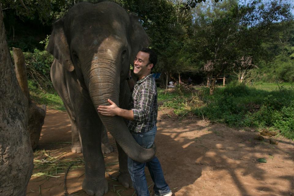 <p>Blake Dinkin fand sie nach einer experimentellen Weile im thailändischen Elefanten. Eine Gruppe dieser Tiere frisst, verdaut und entsorgt Kaffeekirschen und ihre Kerne. Daraus entsteht der "Black Ivory Coffee" ("Schwarzes Elfenbein"), der aktuell weltweit teuerste Kaffee. (Bild: 2012 Getty Images/Paula Bronstein)</p> 
