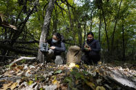 Yale University doctoral students Siria Gamez, left, and Aishwarya Bhandari work on their wildlife camera attached to a tree in a Detroit park on Oct. 7, 2022. With many types of wildlife struggling to survive and their living space shrinking, some are finding their way to big cities. In Detroit, scientists place wildlife cameras in woodsy sections of parks to monitor animals. (AP Photo/Carlos Osorio)
