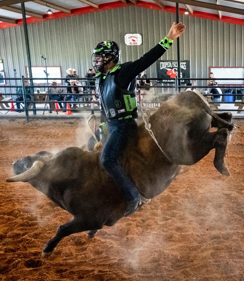 Claudio Montanha Jr. rides a bull during a Gamblers practice last month. The team members don't live in the Austin area, but they practice together in Thrall.