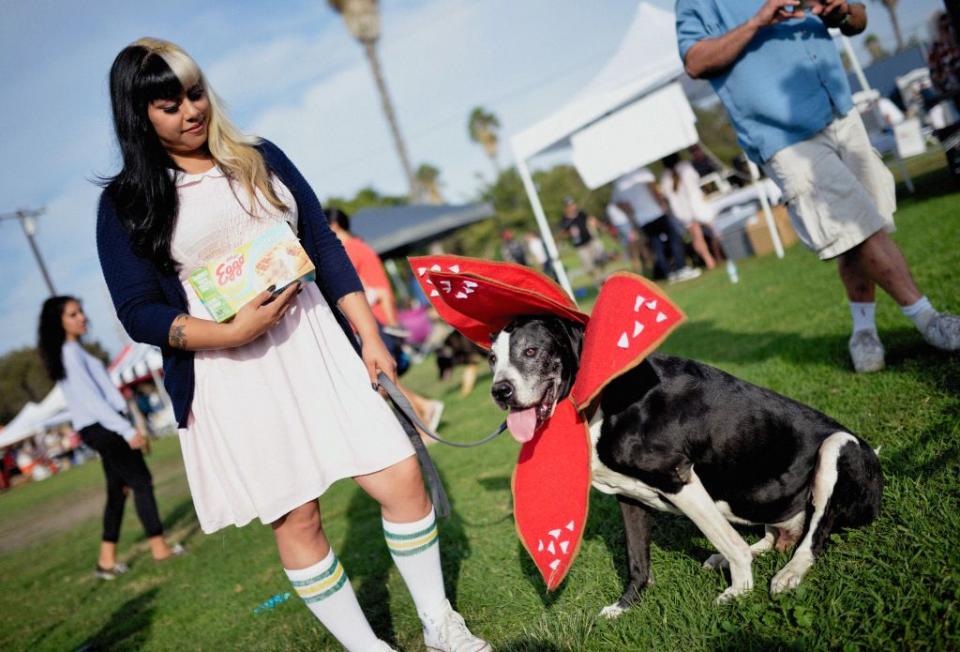 2) Eleven and Demogorgon Dog Costume