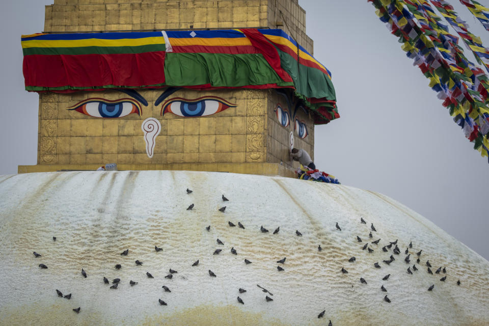 A Buddhist devotee kneels to offer prayers during Buddha Jayanti or Buddha Purnima festival at the Boudhanath Stupa in Kathmandu, Nepal, Thursday, May 23, 2024. (AP Photo/Niranjan Shrestha)