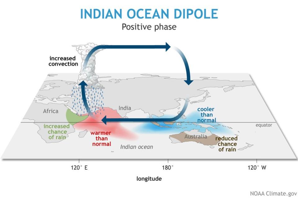 Diagram showing the impacts of a positive Indian Ocean Dipole phaseNOAA