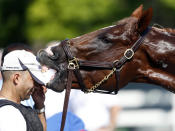 No se sabe si fue una especie de venganza por no haberle dado suficiente pienso o simplemente una muestra de cariño, pero el jinete Luis Gracia casi se queda sin gorra por culpa de este caballo. (AP Photo/Mike Groll)