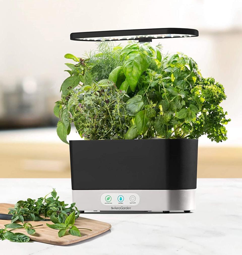 Grow your own herbs to take your recipes to the next level &mdash; even if you don't have a green thumb.<br /><br /><strong>Promising review:</strong> "I purchased this as a Christmas gift for my boyfriend's sister-in-law who lamented not having a green thumb. In the two months that the sis-in-law has had the AeroGarden, the growth has been tremendous. I'm constantly in awe when she sends me pics of the new growth." &mdash; <a href="https://www.amazon.com/dp/B07CKK8Z78?tag=huffpost-bfsyndication-20&amp;amp;ascsubtag=5817703%2C17%2C43%2Cd%2C0%2C0%2C0%2C962%3A1%3B901%3A2%3B900%3A2%3B974%3A3%3B975%3A2%3B982%3A2%2C16175972%2C0" target="_blank" rel="noopener noreferrer">Mary A. Walls</a><br /><br /><strong>Get it from Amazon for <a href="https://www.amazon.com/dp/B07CKK8Z78?tag=huffpost-bfsyndication-20&amp;amp;ascsubtag=5817703%2C17%2C43%2Cd%2C0%2C0%2C0%2C962%3A1%3B901%3A2%3B900%3A2%3B974%3A3%3B975%3A2%3B982%3A2%2C16175972%2C0" target="_blank" rel="noopener noreferrer">$119.99</a> (available in three colors).</strong>