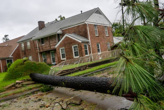 A fallen tree lies on a road in front of a brick house after a storm, causing damage to nearby property and disrupting the area