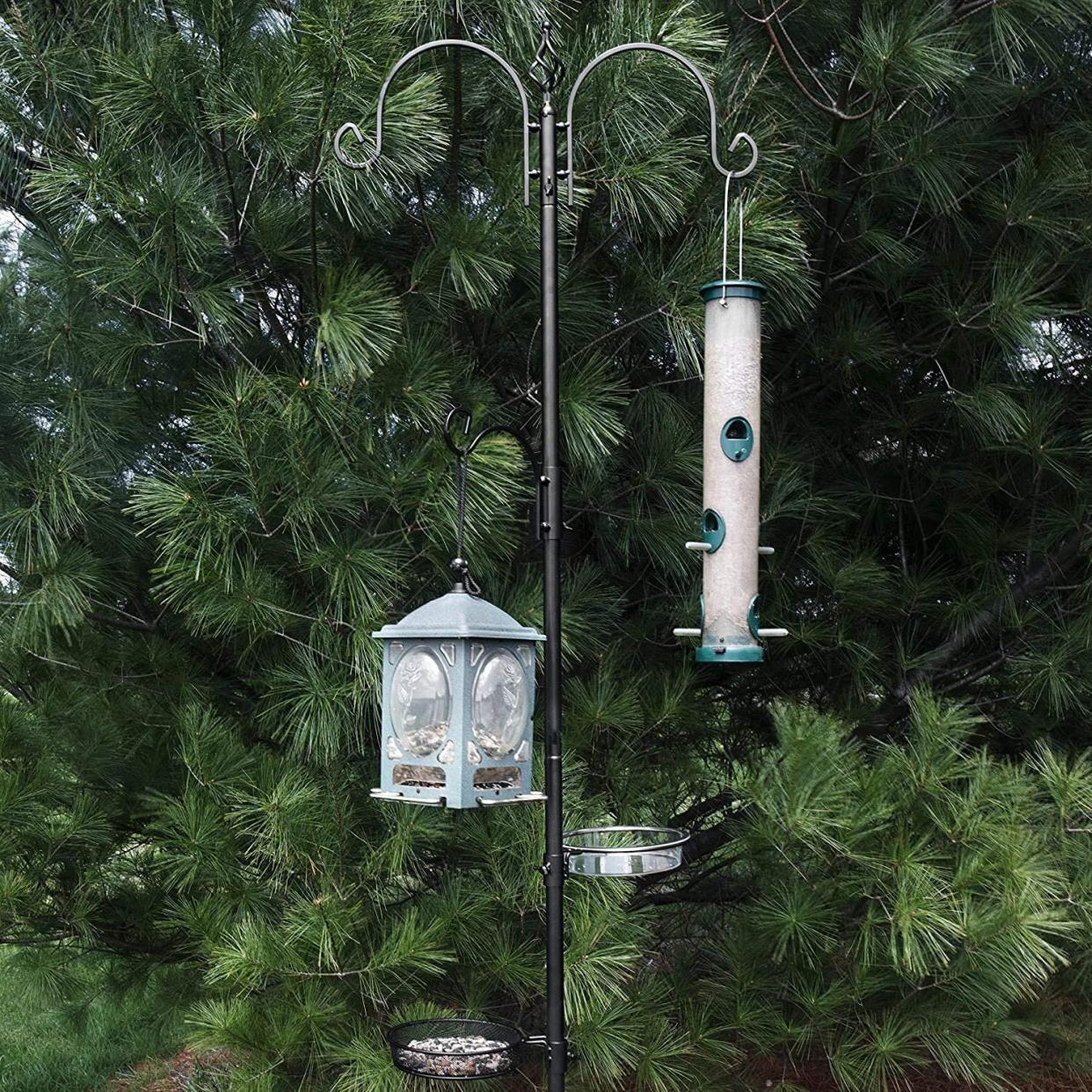 Pedestal Bird Feeder