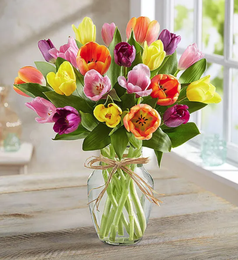 <p><a href="https://go.redirectingat.com?id=74968X1596630&url=https%3A%2F%2Fwww.1800flowers.com%2Ftimeless-tulips-91317&sref=https%3A%2F%2Fwww.womansday.com%2Flife%2Fg39483180%2Fnurse-graduation-gift-ideas%2F" rel="nofollow noopener" target="_blank" data-ylk="slk:Shop Now;elm:context_link;itc:0;sec:content-canvas" class="link ">Shop Now</a></p><p>Timeless Tulips Bouquet</p><p>1800flowers.com</p><p>$69.99</p><span class="copyright">1-800-Flowers.com</span>