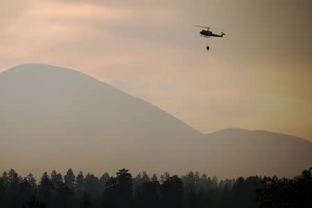 A firefighting helicopter flies near the Lake Fire in the San Bernardino National Forest, California June 20, 2015. REUTERS/David McNew