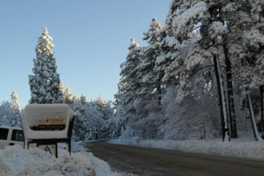 Pronostican nieve para el sábado y domingo en Laguna Mountain, a 1 hora de San Ysidro