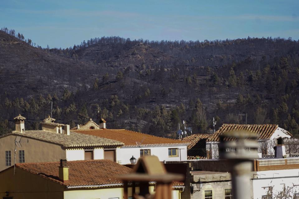 FILE - Burnt trees are visible following a fire in Fuente la Reina, Castellon de la Plana, Spain, March 29, 2023. Spain suffered the biggest losses from wildfires of any European Union country last year amid a record-hot 2022, and there is worry that this year’s fire season could also be bad. (AP Photo/Alberto Saiz, File)