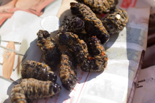 Mopani Worms (Zimbabwe and other southern African countries)
