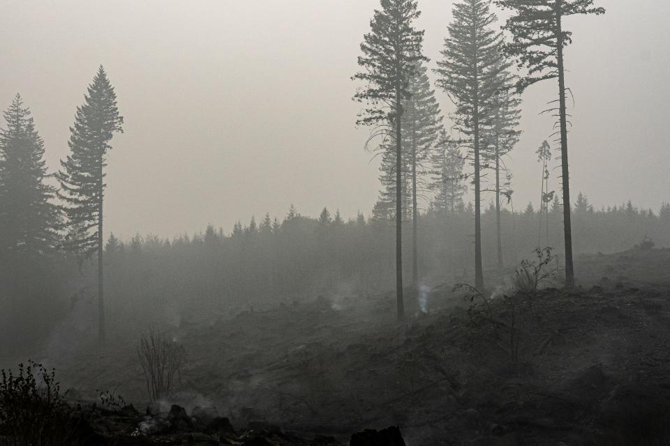 Spot fires smolder in a field on September 14, 2020 in Estacada, Oregon.