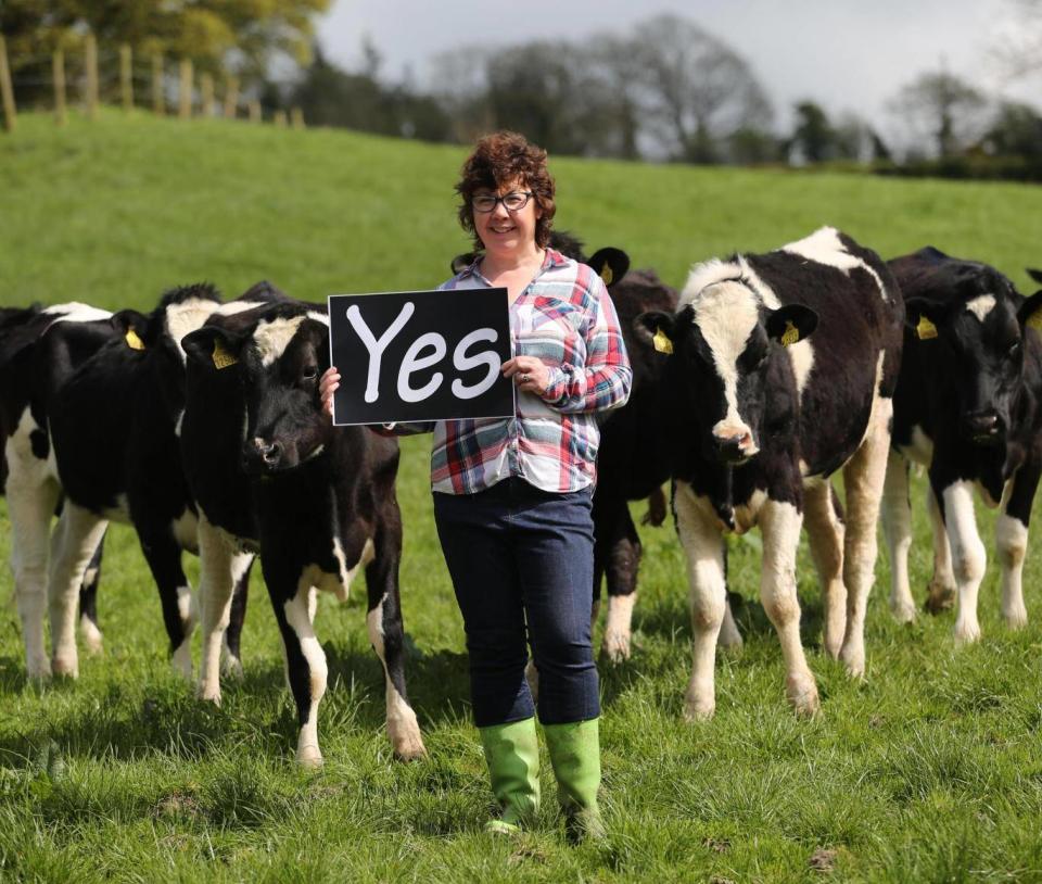 ‘Our campaign aims to show the diversity of views underlying the Yes vote in Ireland’s farming community’ (Georgina Willis)