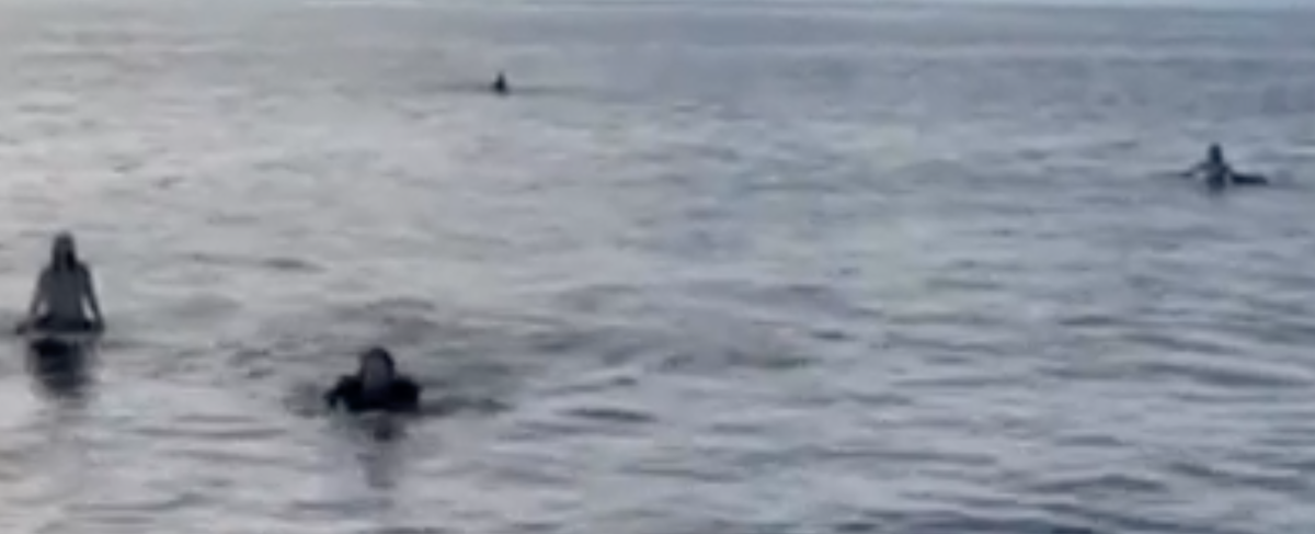 A friend of the group filmed the moment he spotted the first three surfers in the ocean (screengrab)