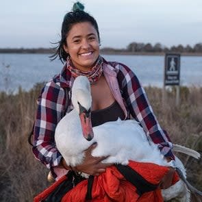 Ariel Cordova-Rojas holding a female mute swan near the water's edge