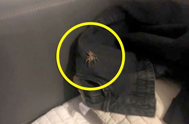 Three police officers came to her rescue to remove the arachnid. Picture: Supplied