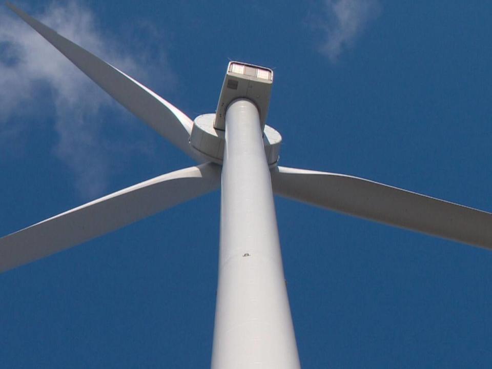 An environmental group is asking a judge to review a decision by the environment minister to approve a wind farm in the Wentworth Valley. (Roger Cosman/CBC News - image credit)