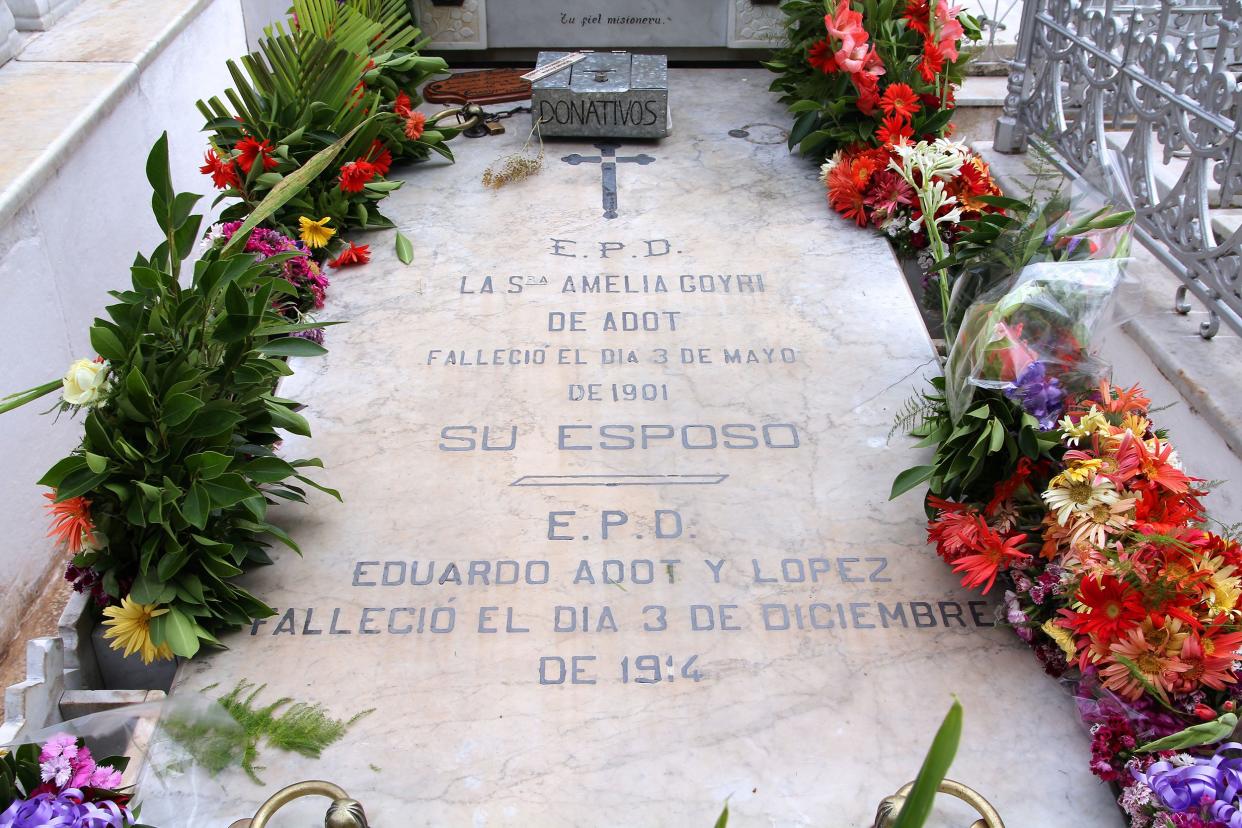 Doña Amelia Goyri de la Hoz's grave in the Cementerio de Cristóbal Colón, Havana, Cuba, surrounded by several tropical plants and flowers with an elaborate fence on the right and other graves hinted at in the background