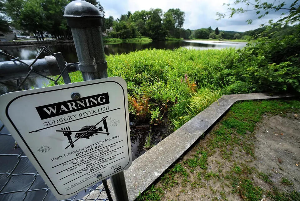 This sign warns of mercury-contaminated fish at Ashland's Mill Pond Park. The mercury's presence is due to contaminants released by the former Nyanza Color and Chemical Co.