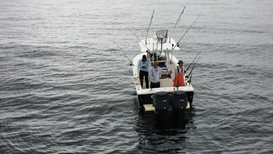 Researchers on a boat from the Atlantic Shark Institute search for sharks last summer. To find sharks, they consider factors such as historical catch data, water temperature, bottom structure, bait, tide and weather.